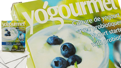 CULTURE Dry - Yogurt/Kefir
